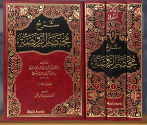 Şerhu Muhtasarir Ravda-شرح مختصر الروضة