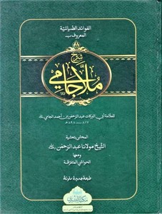 Şerhu Molla Cami El Fevaidüz Ziyaiyye ala Metnil Kafiye fin Nahv-شرح ملا جامي الفوائد الضيائية