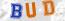 Güvenlik Resmi