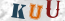 Güvenlik Resmi