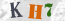 Güvenlik Resmi