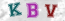 Güvenlik Resmi