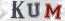 Güvenlik Resmi