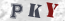 Güvenlik Resmi
