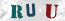 Güvenlik Resmi