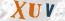 Güvenlik Resmi
